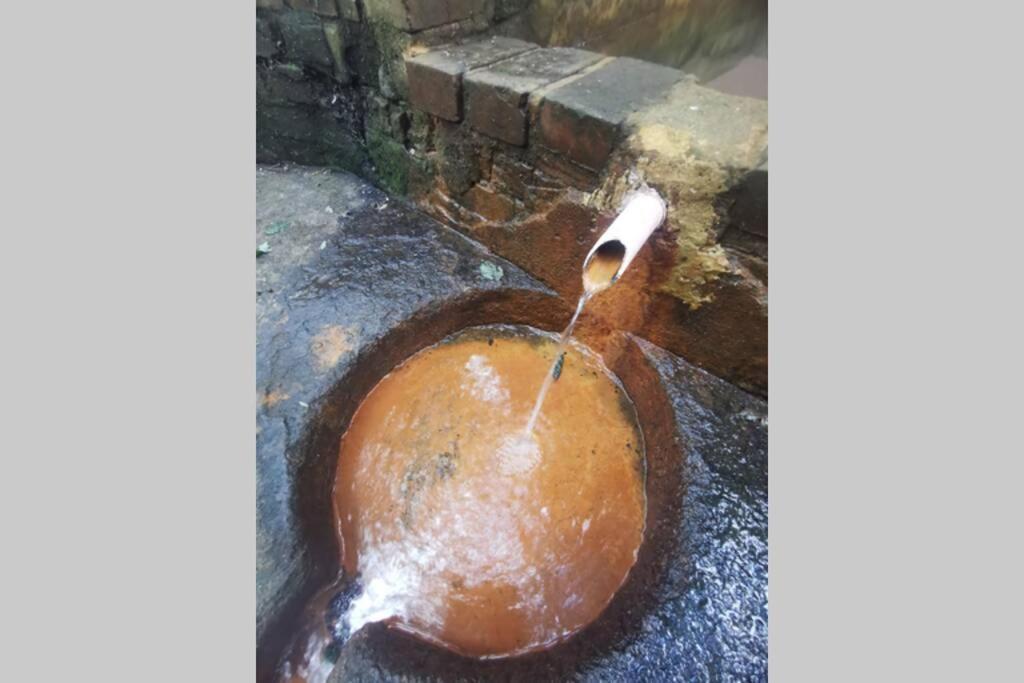 Gite Le Balcon Flaubert Forges-les-Eaux Exterior foto